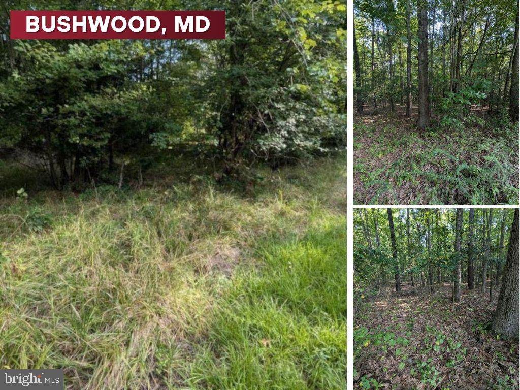 36810 Bushwood Drive - Photo 1