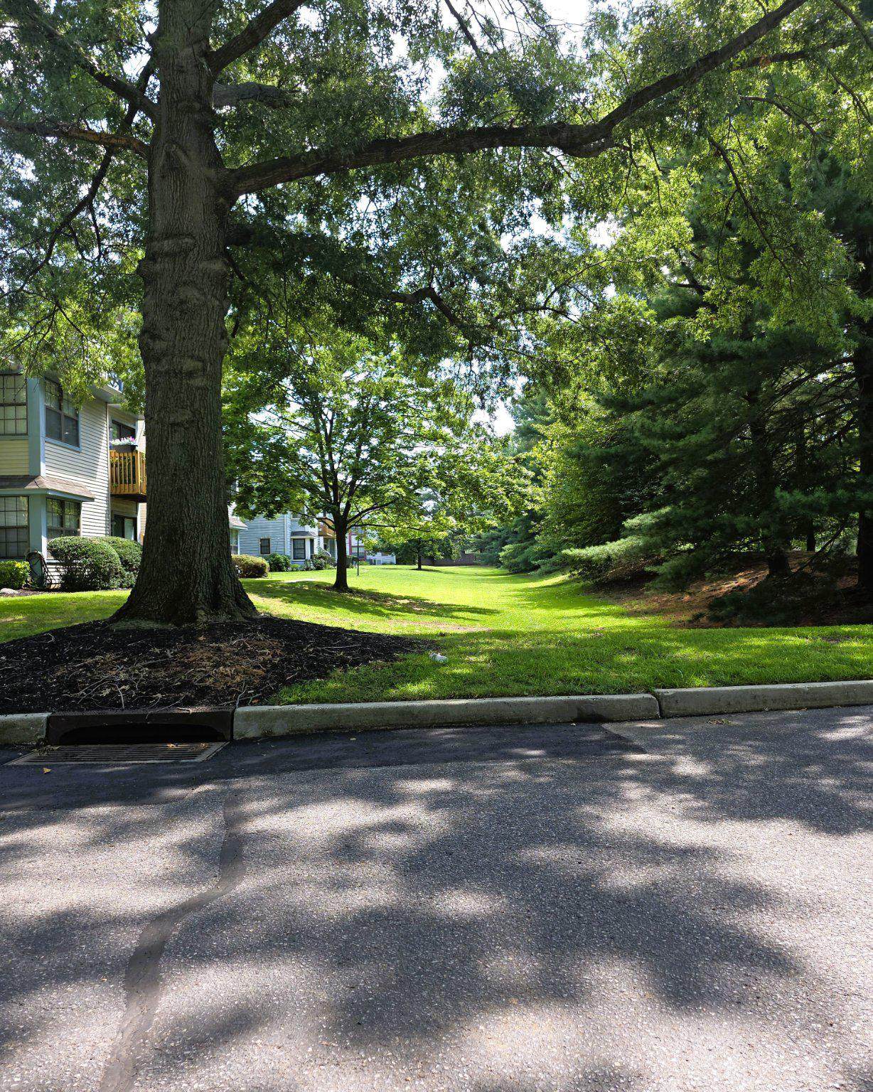 104 Ashton Court - Photo 1