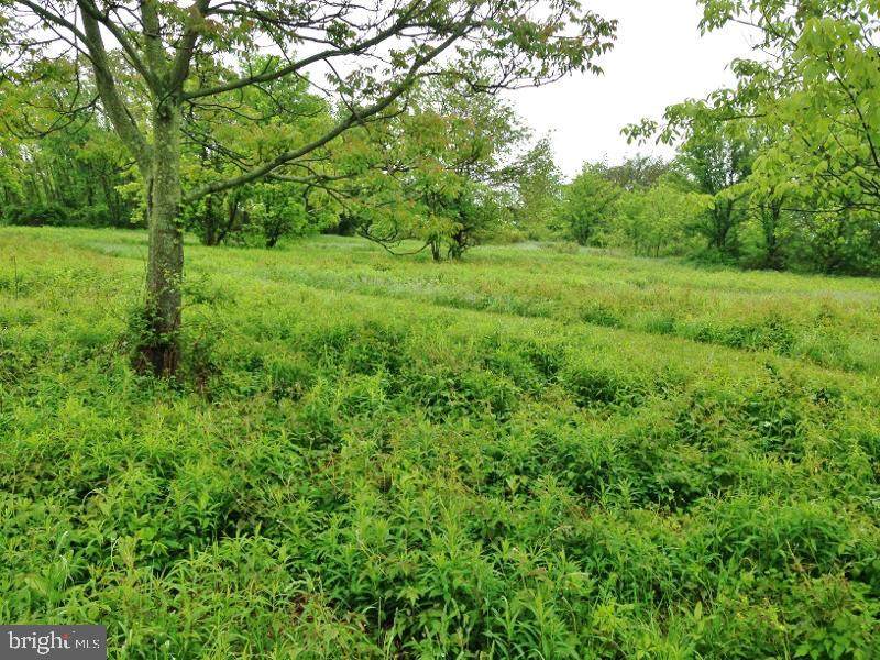 175 Gablers Road - Photo 1