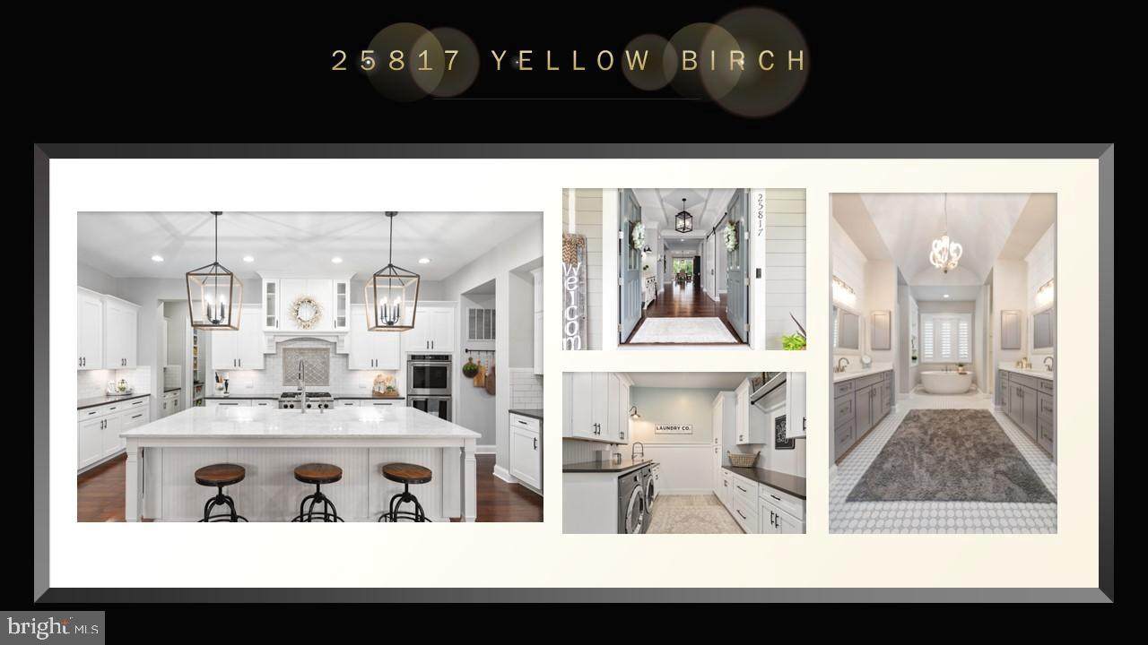 25817 Yellow Birch Court - Photo 1