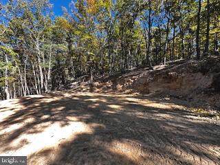 0 LOWER ARKANSAS ROAD - Photo 1