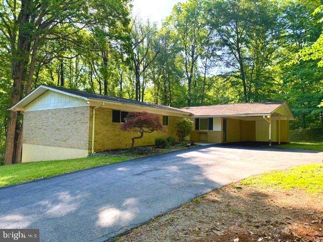 8114 Anita Road - Photo 1