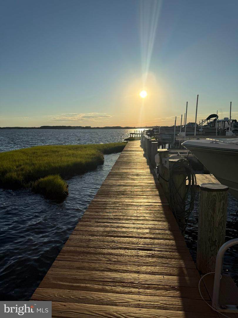 13202 Stone Harbor Lane - Photo 1