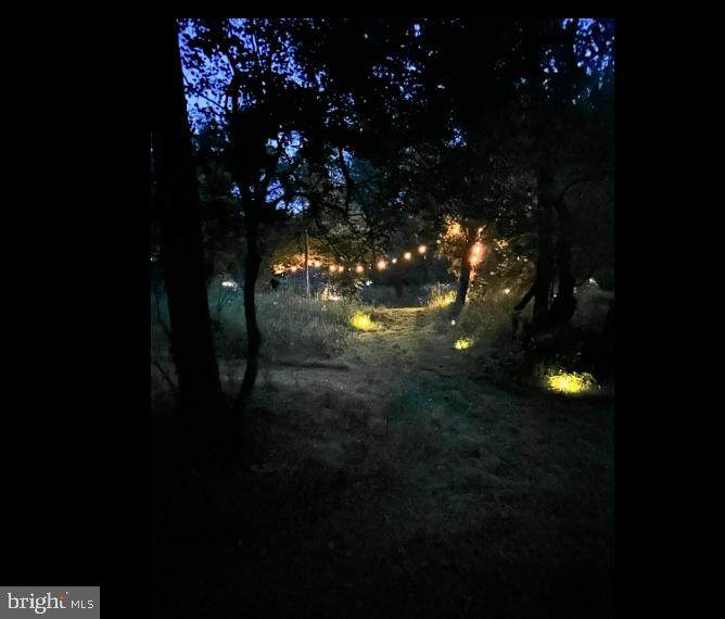  Wes Mountain Trail - Photo 1