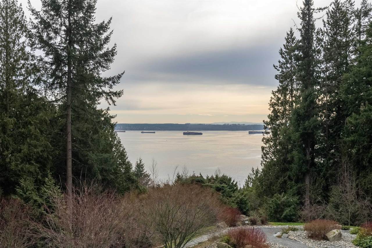 3335 Cypress Place - Photo 1