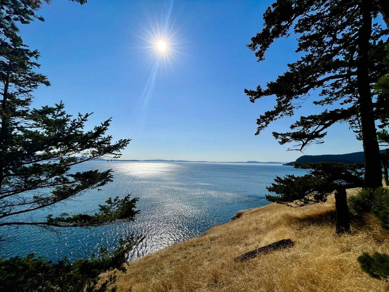 168 Cliffside Road - Photo 1