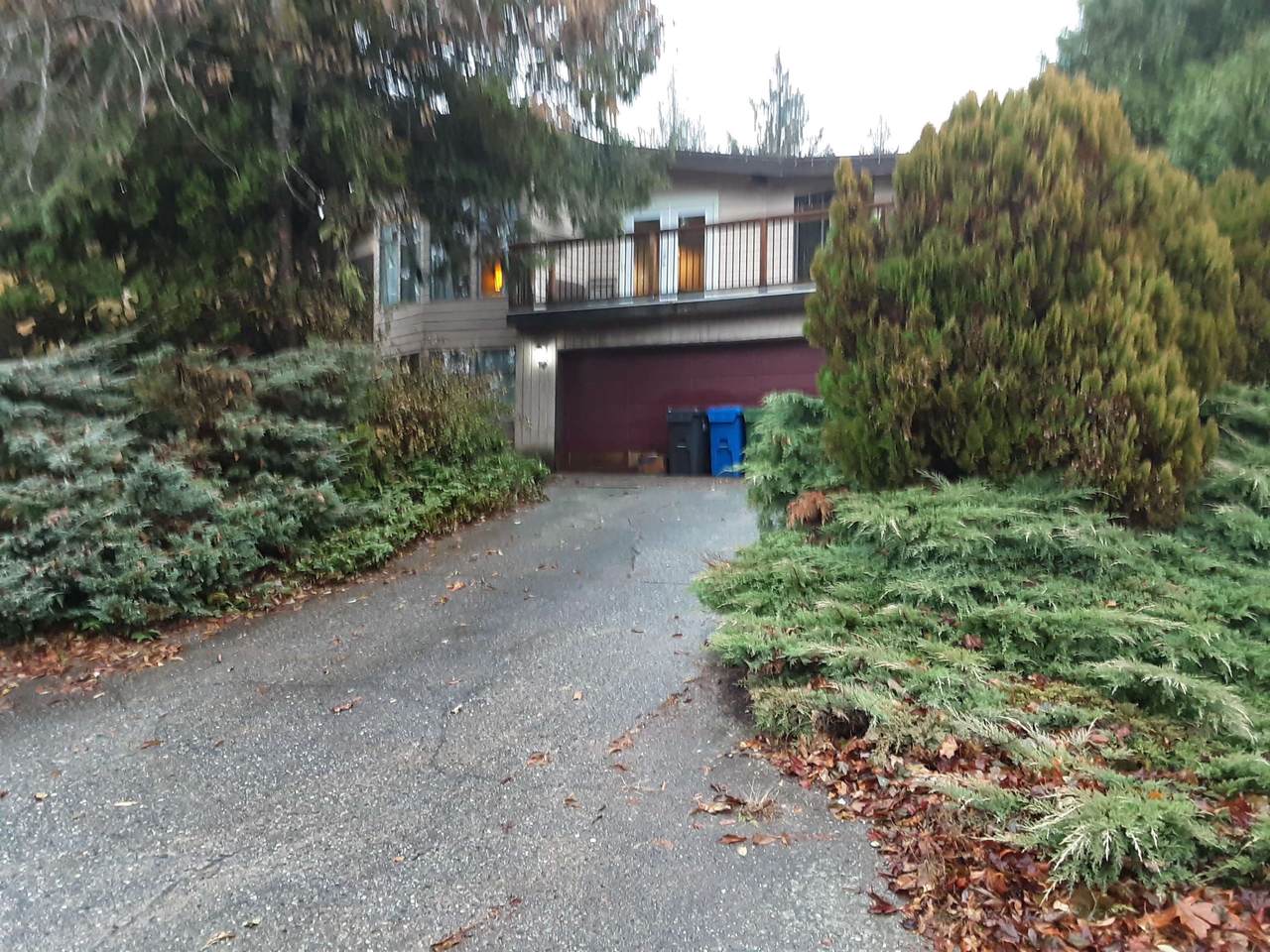 2363 Anora Drive - Photo 1
