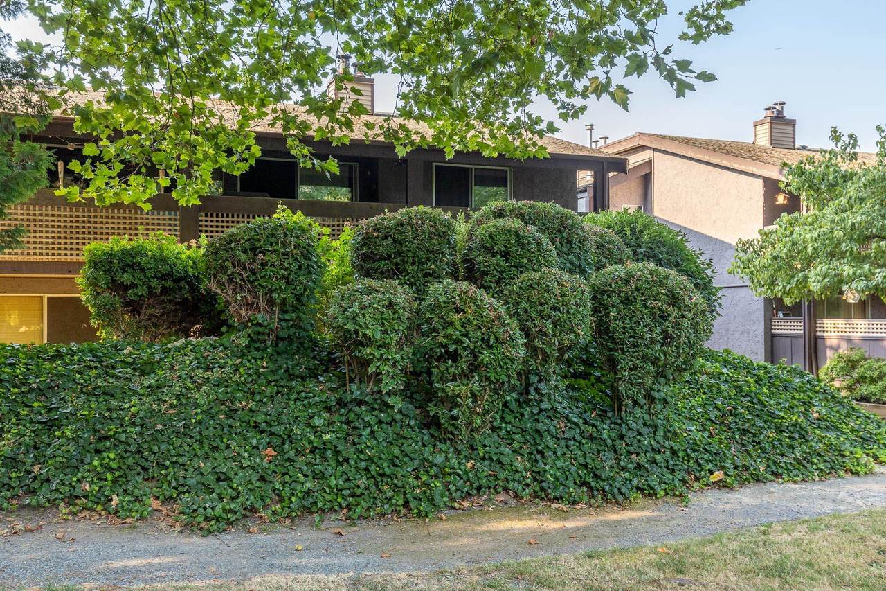 34909 Old Yale Road - Photo 1