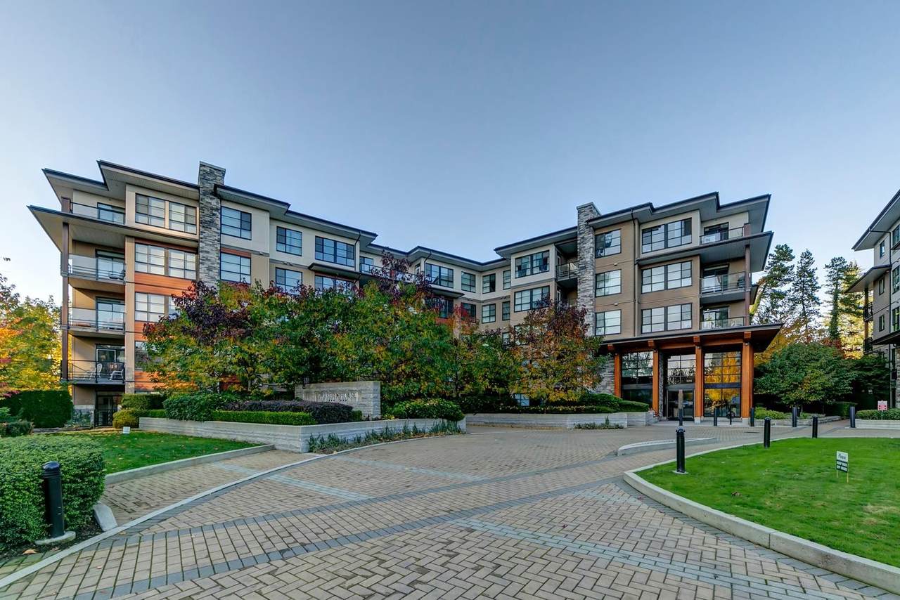 1151 Windsor Mews - Photo 1
