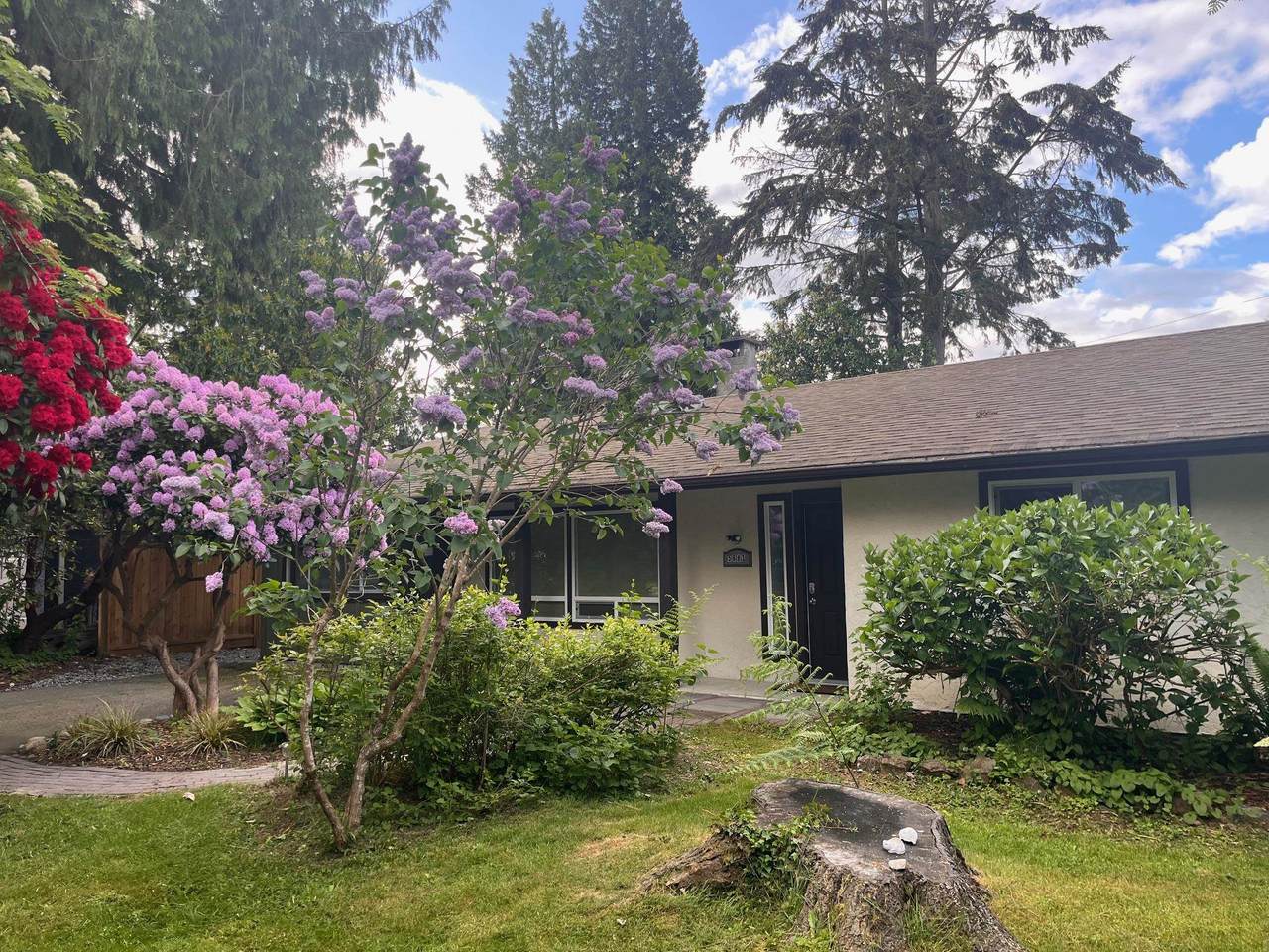 5683 Medusa Street - Photo 1