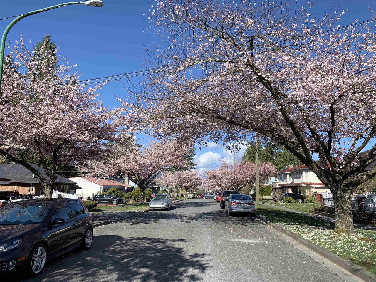 7606 Ulster Street - Photo 1