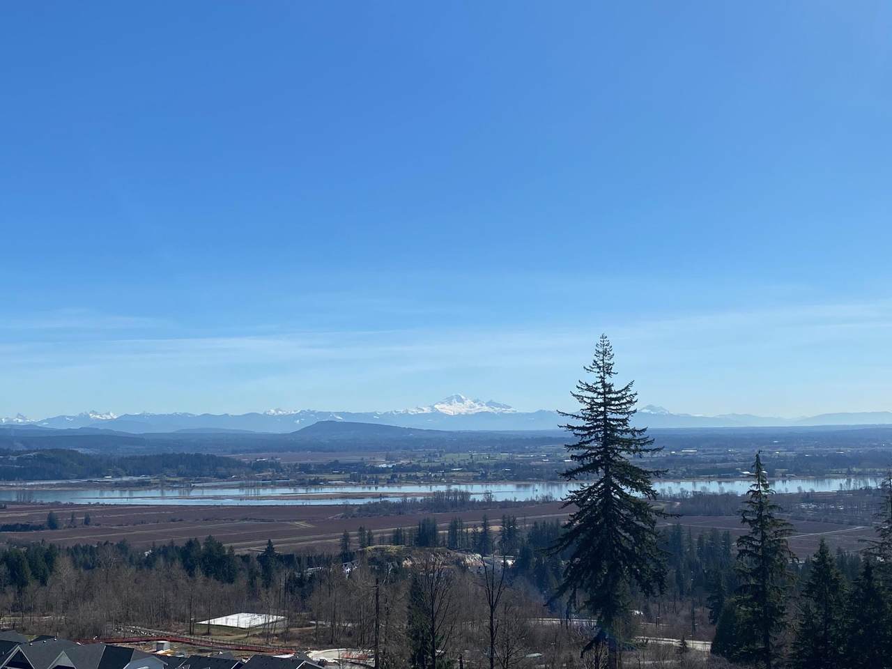 1435 Shay Street - Photo 1