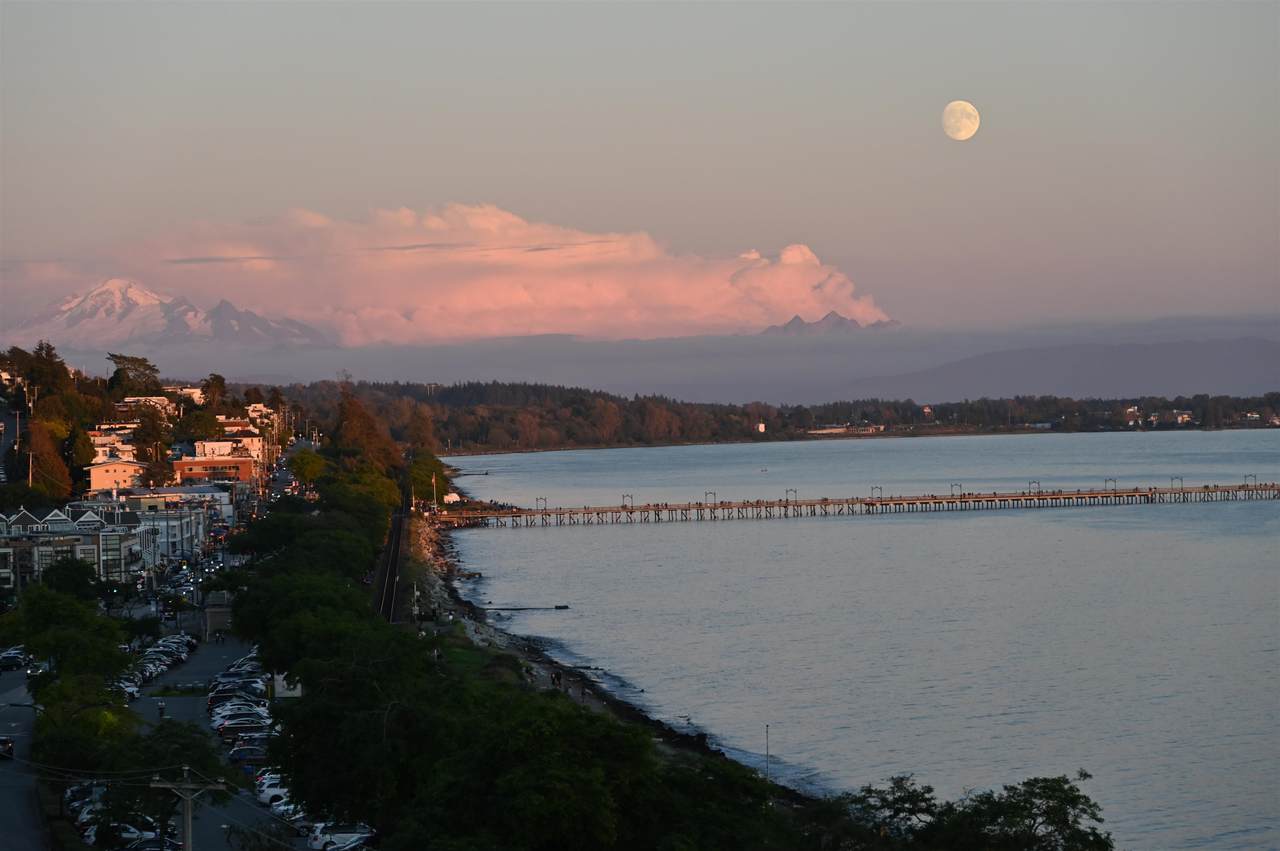 14501 Marine Drive - Photo 1