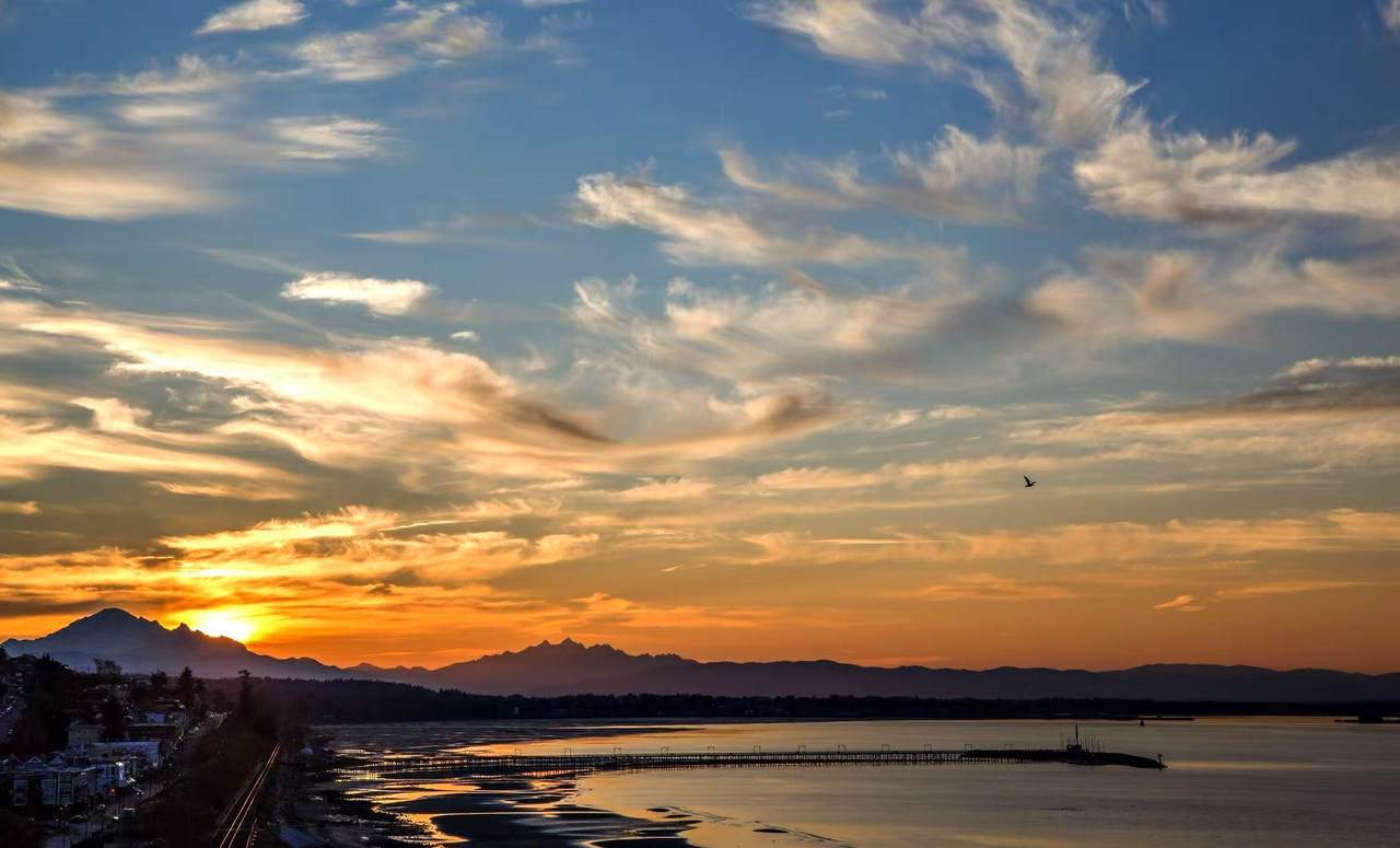 14495 Marine Drive - Photo 1