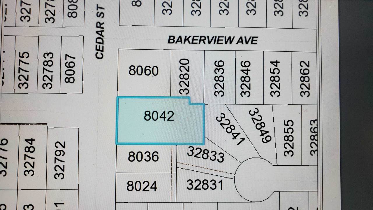 8042 Cedar Street - Photo 1