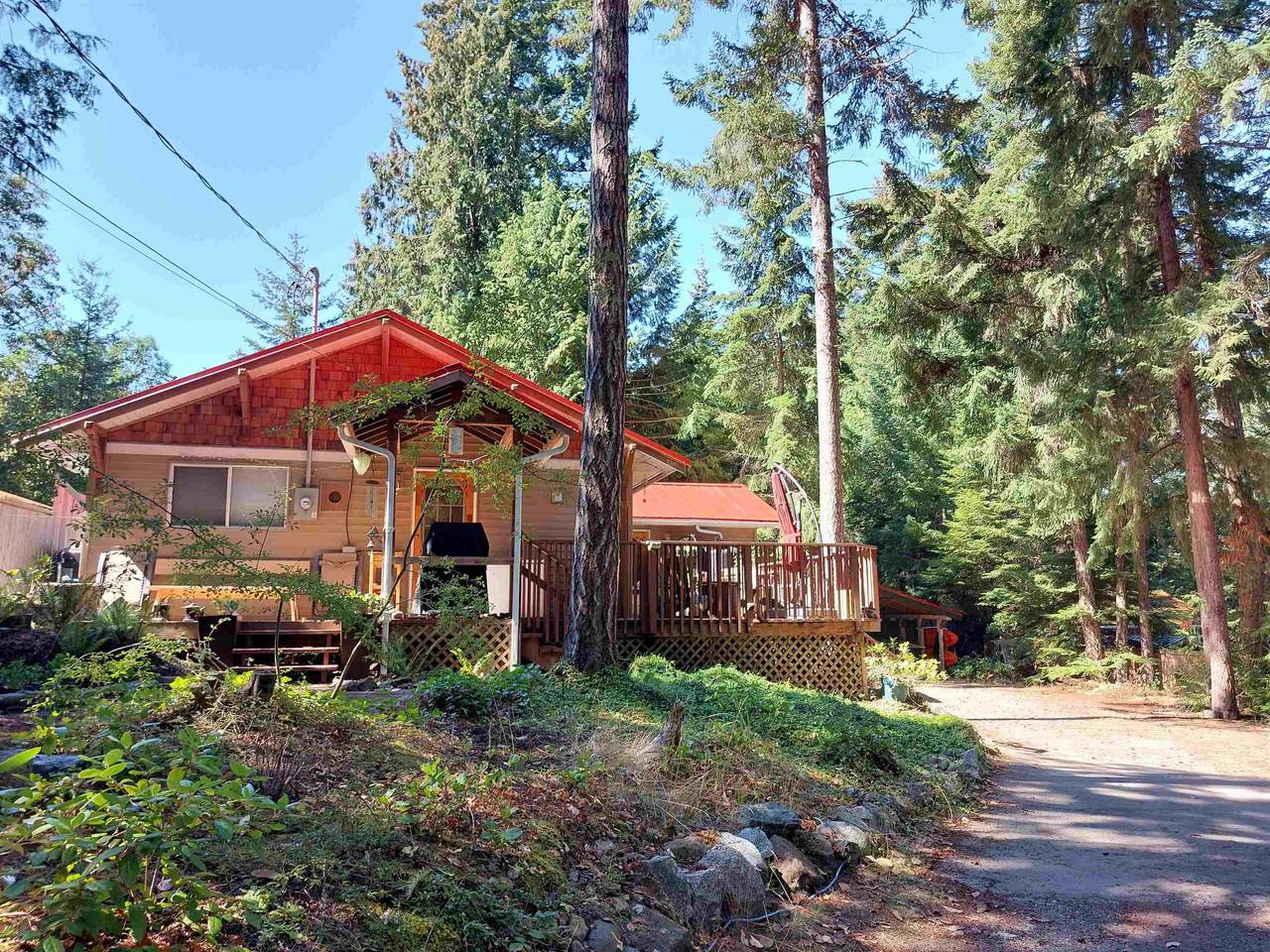559 Blitz Road - Photo 1