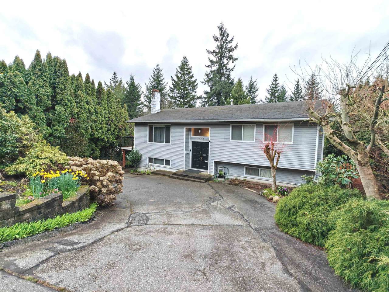 7801 Wiltshire Boulevard - Photo 1