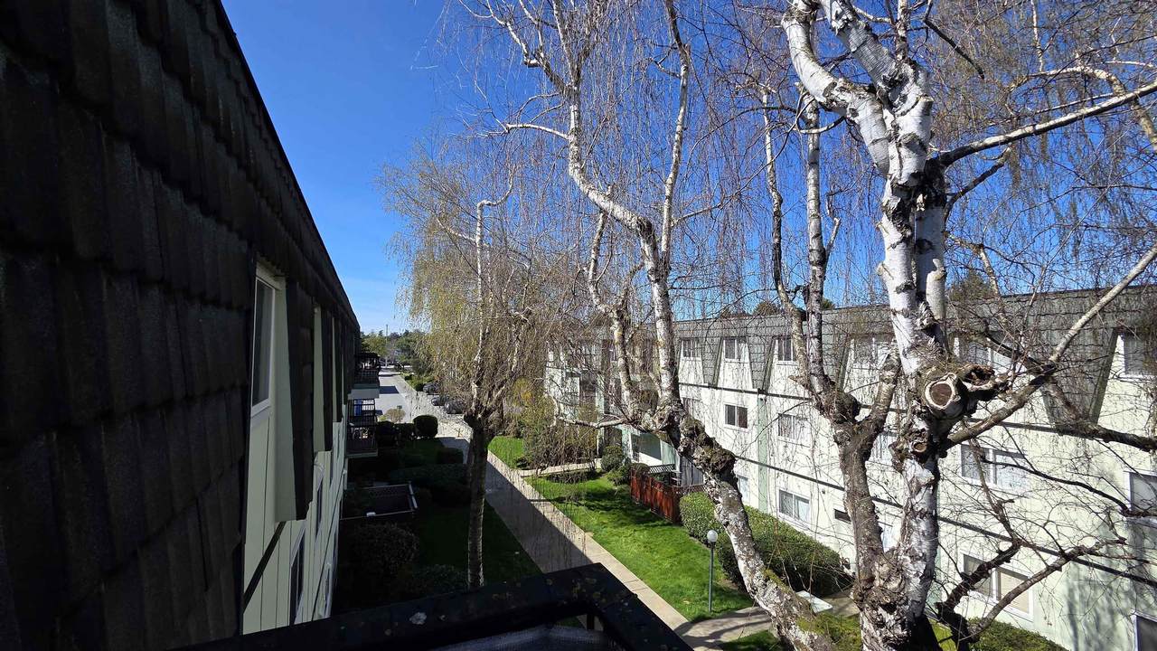 8131 Ryan Road - Photo 1