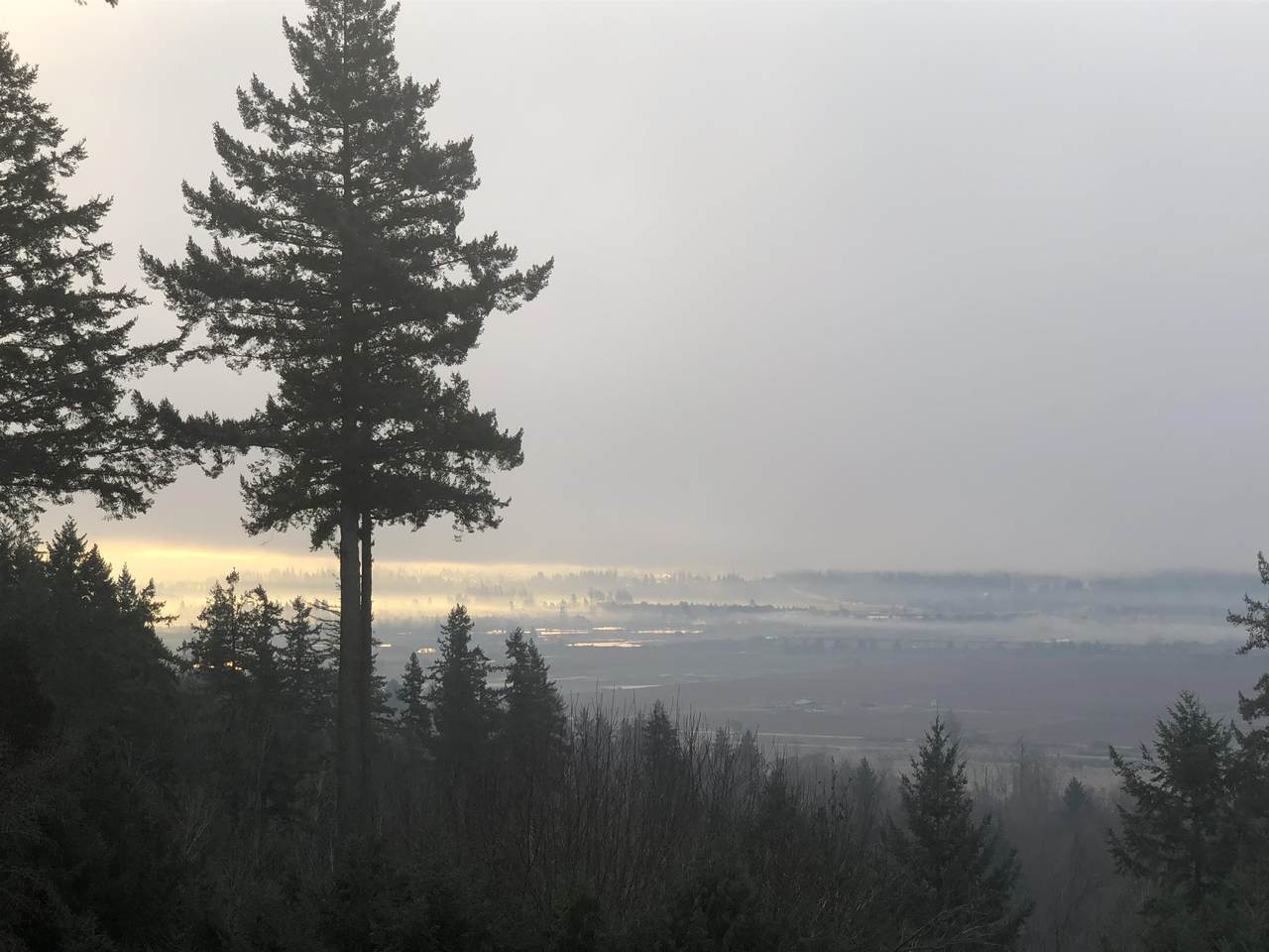 https://bt-photos.global.ssl.fastly.net/britcol/1280_boomver_1_R3117589-2.jpg
