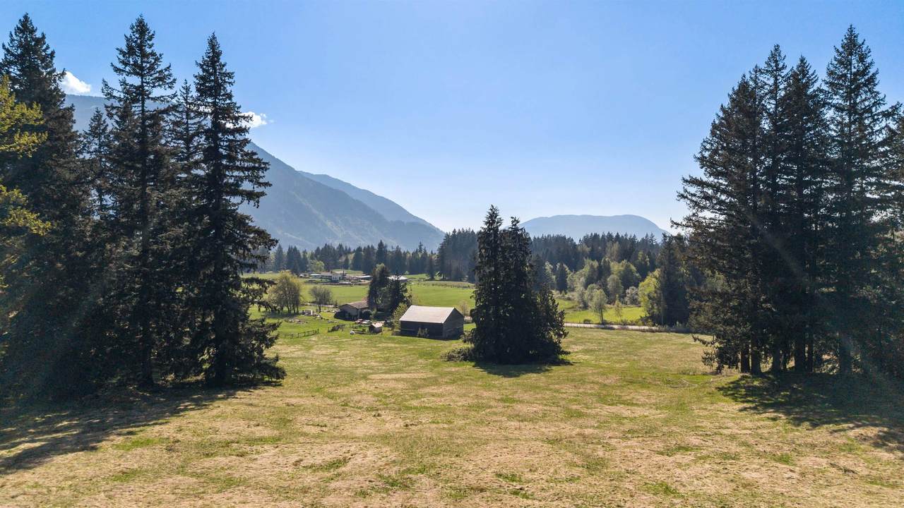 4888 Haley Road - Photo 1