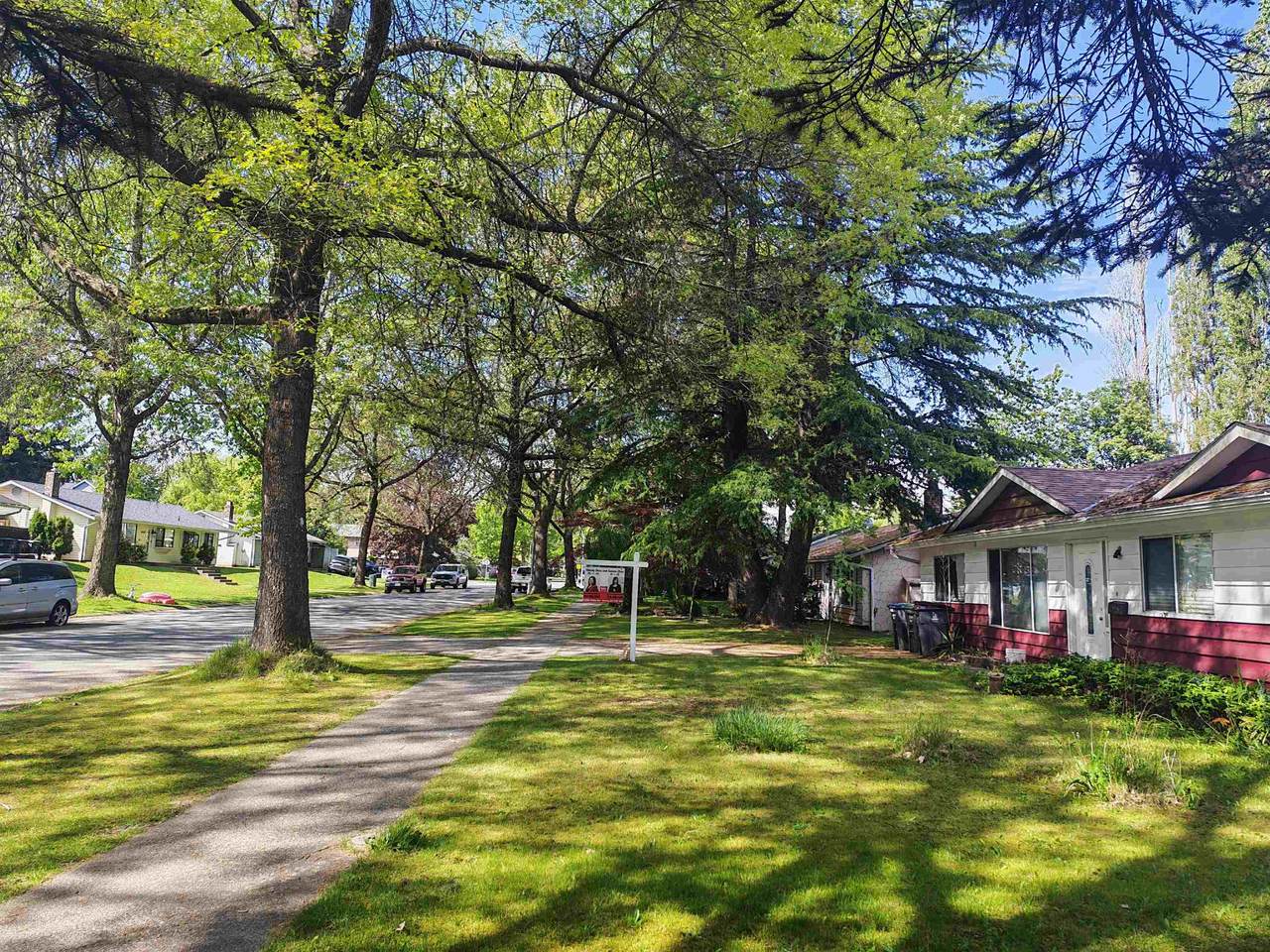 https://bt-photos.global.ssl.fastly.net/britcol/1280_boomver_1_R3120502-2.jpg