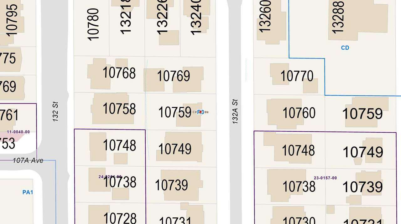 10759 132A Street - Photo 1