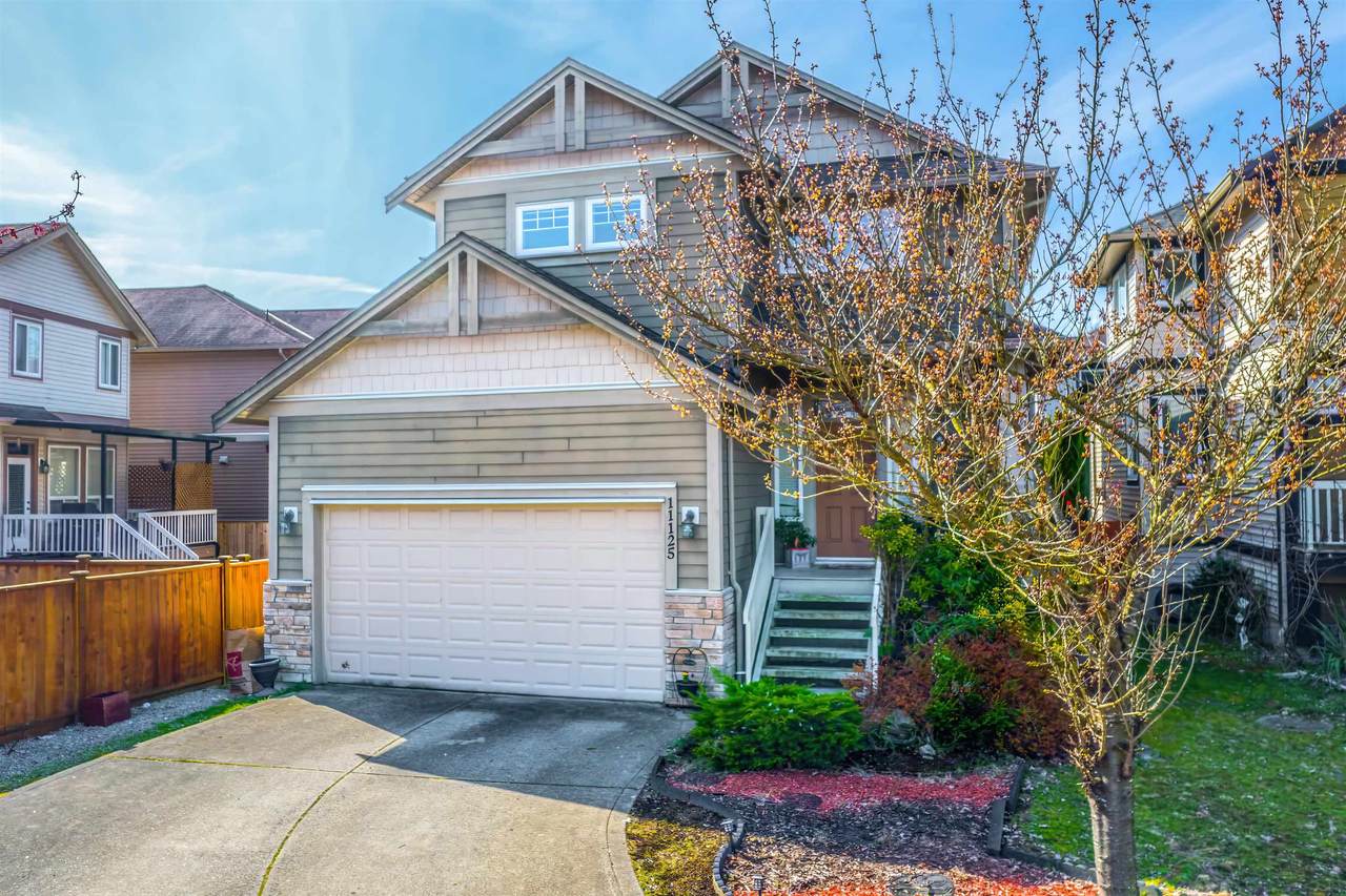 11125 234A Street - Photo 1
