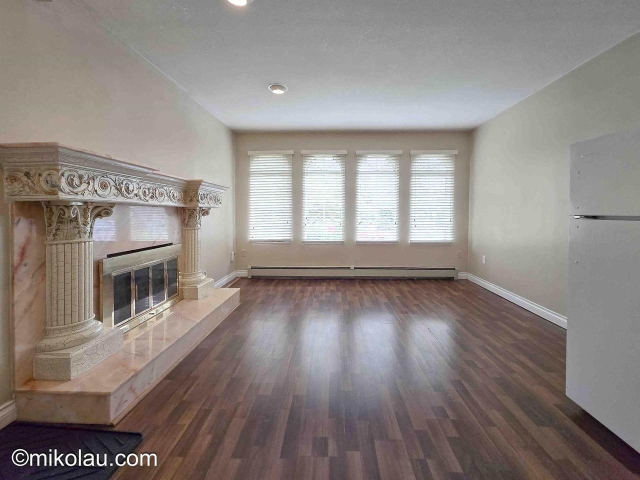 377X Burke Street - Photo 1