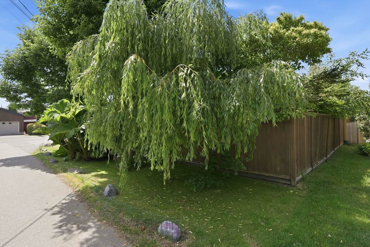 https://bt-photos.global.ssl.fastly.net/britcol/1280_boomver_1_R3131244-2.jpg