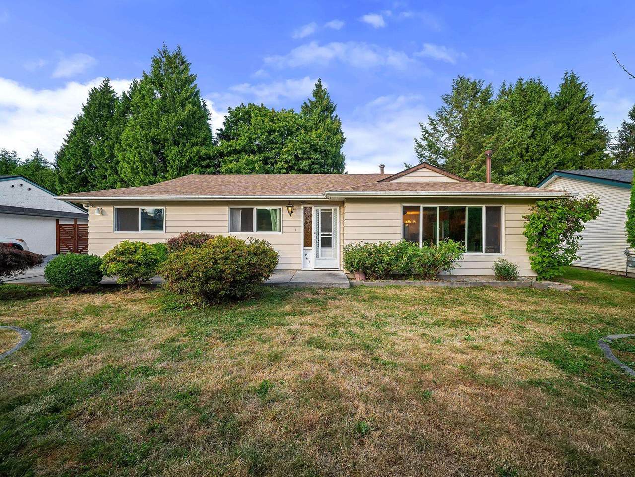 667 Cypress Street - Photo 1