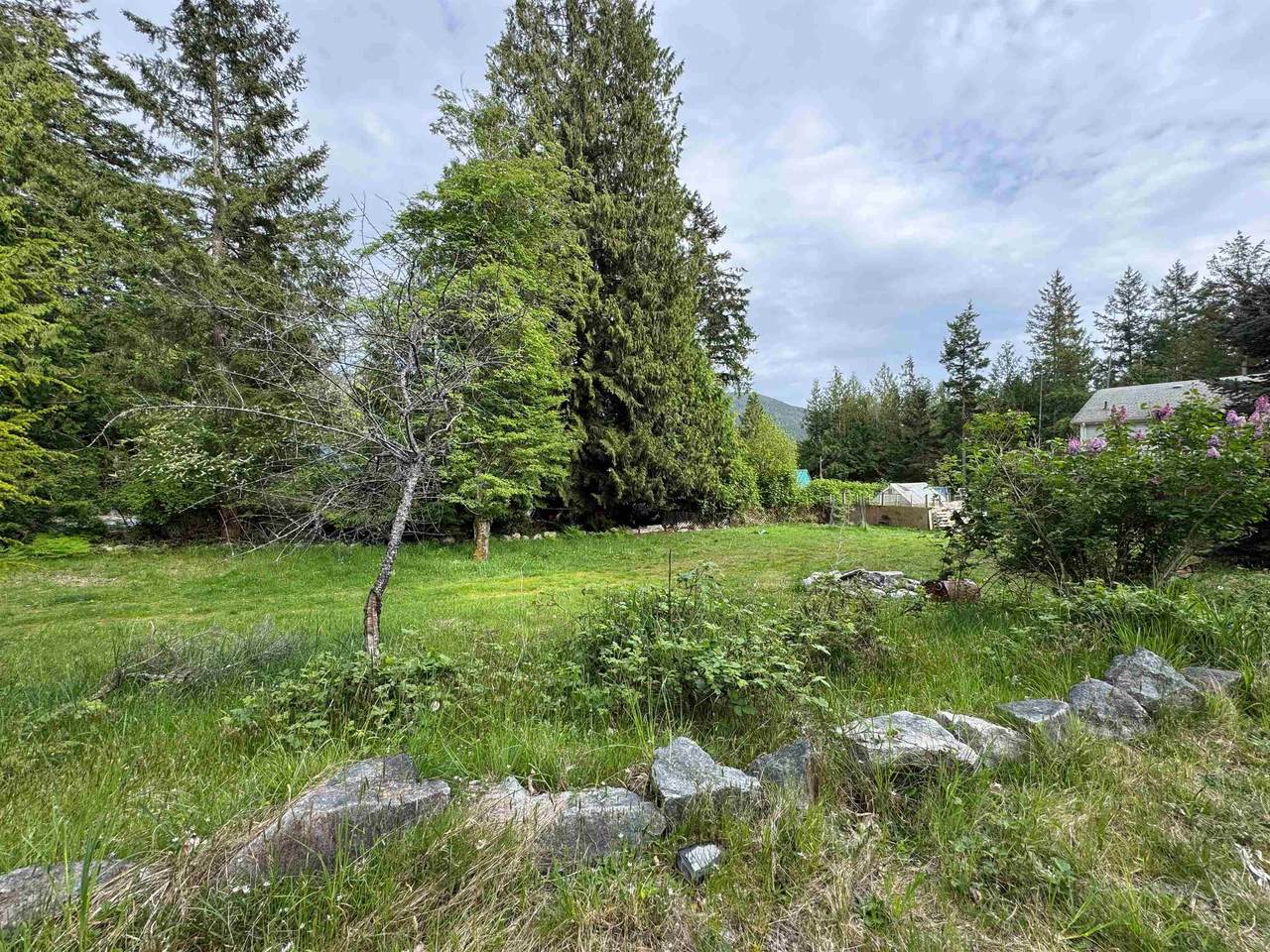 4904 Hotel Lake Road - Photo 1