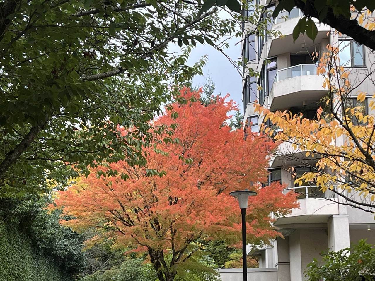 7321 Halifax Street - Photo 1