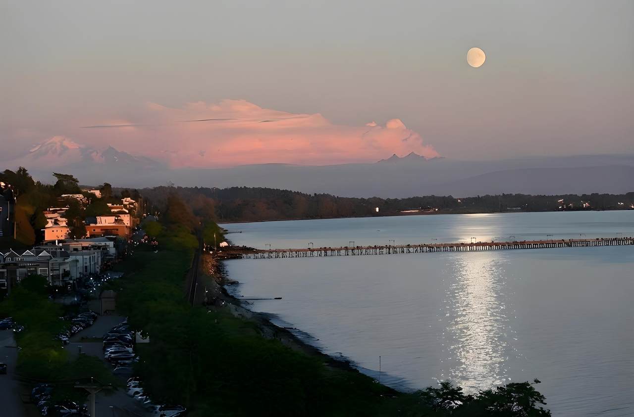 14501 Marine Drive - Photo 1