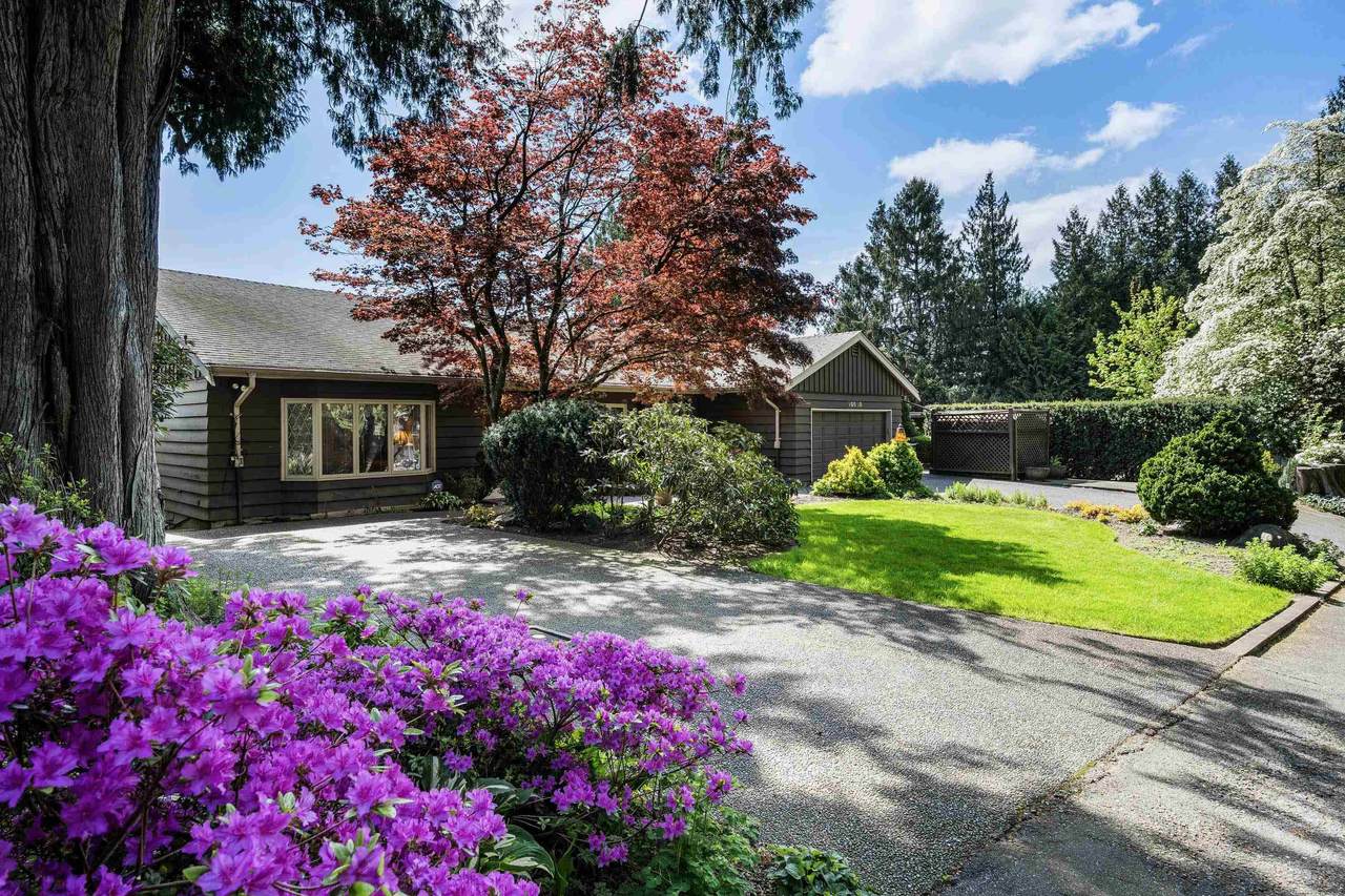 10030 Timberline Place - Photo 1