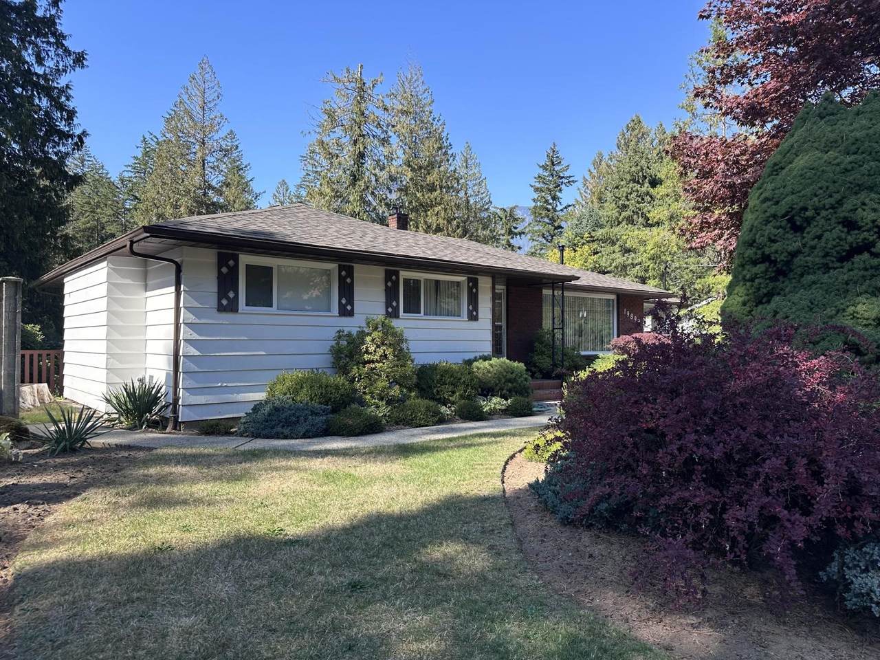 19899 Silverhope Road - Photo 1