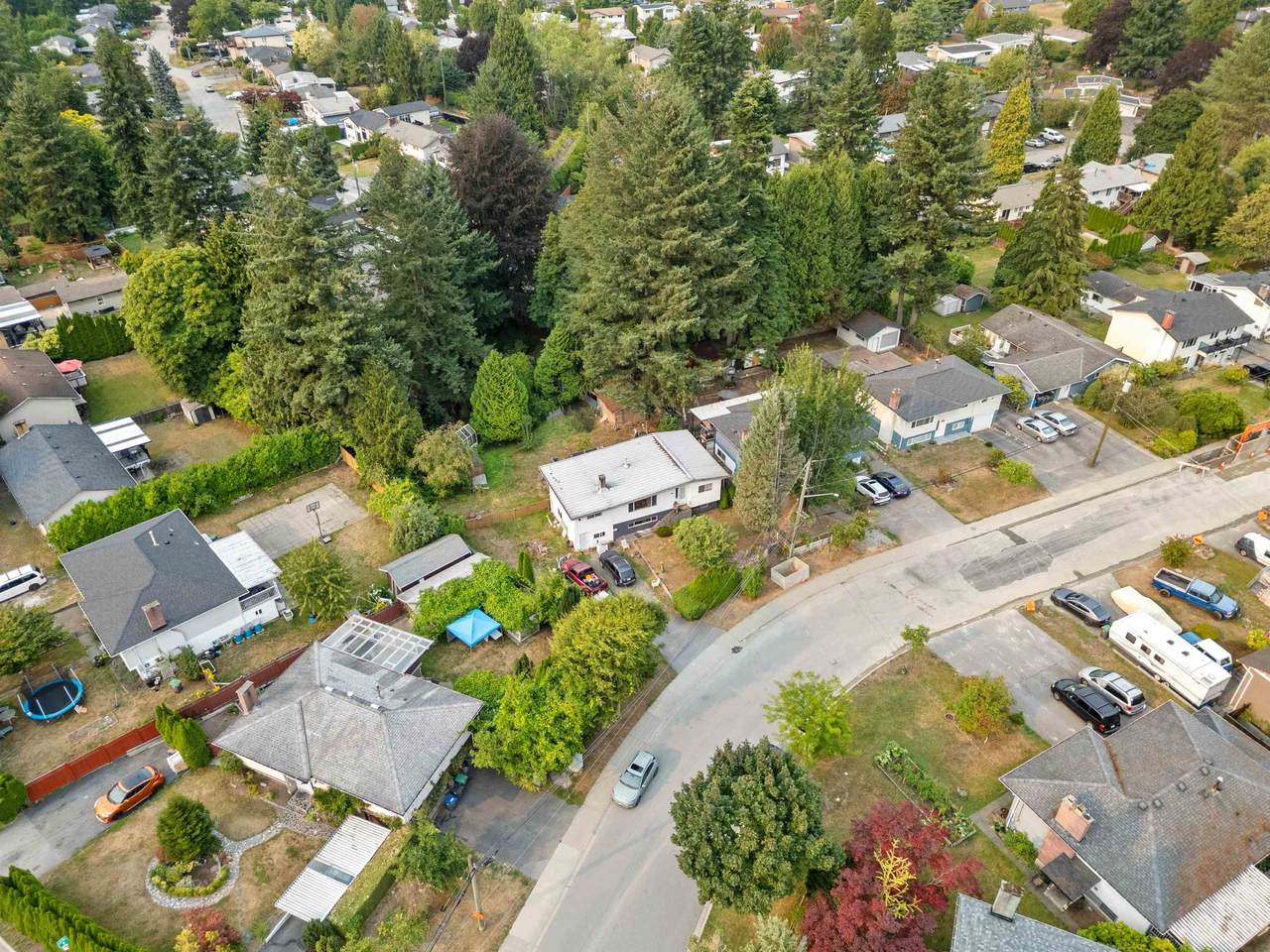14935 Canary Drive - Photo 1