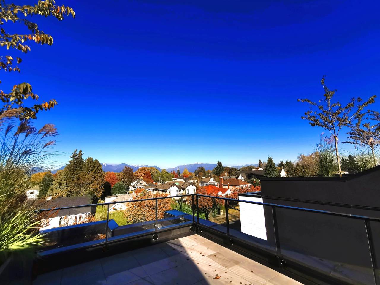 52 King Edward Avenue - Photo 1