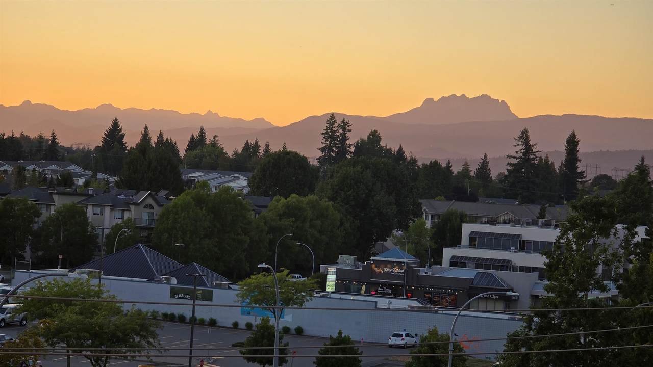 32828 Landeau Place - Photo 1