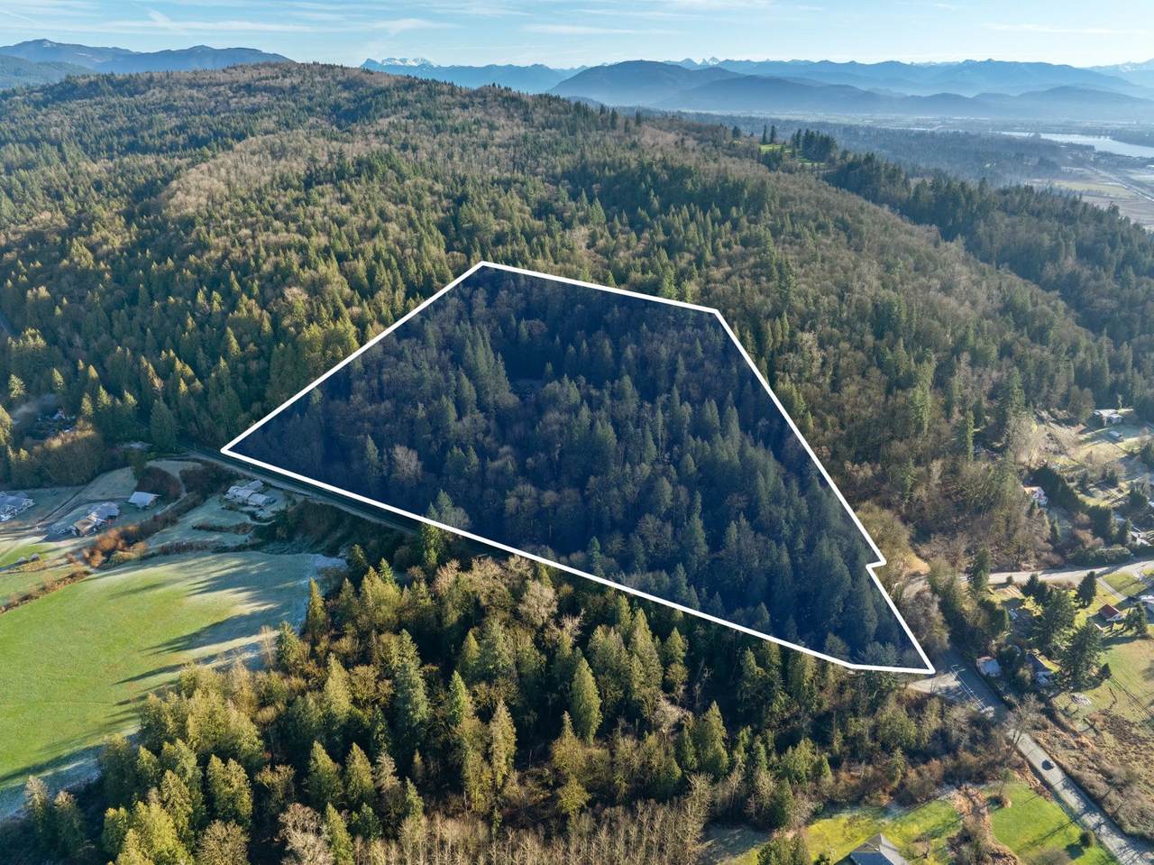 8904 Manzer Street - Photo 1