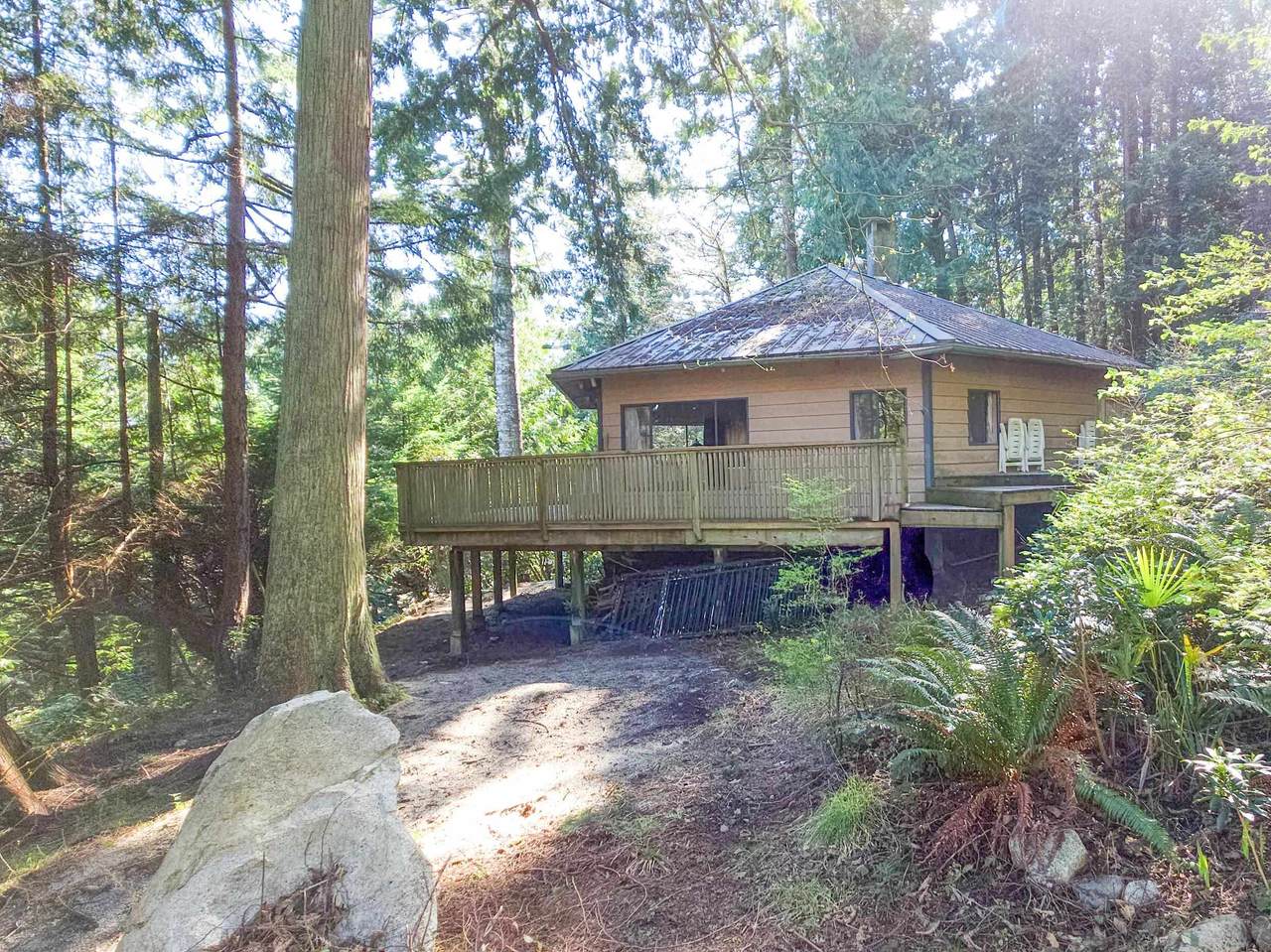 427 Collingwood Road - Photo 1