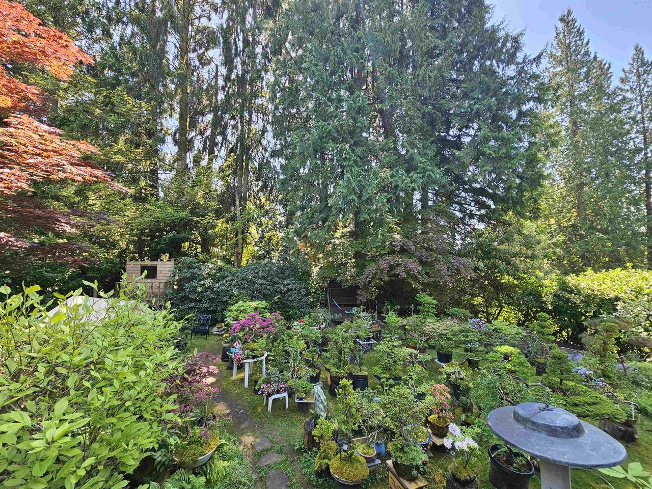 https://bt-photos.global.ssl.fastly.net/britcol/1280_boomver_1_R3119358-2.jpg