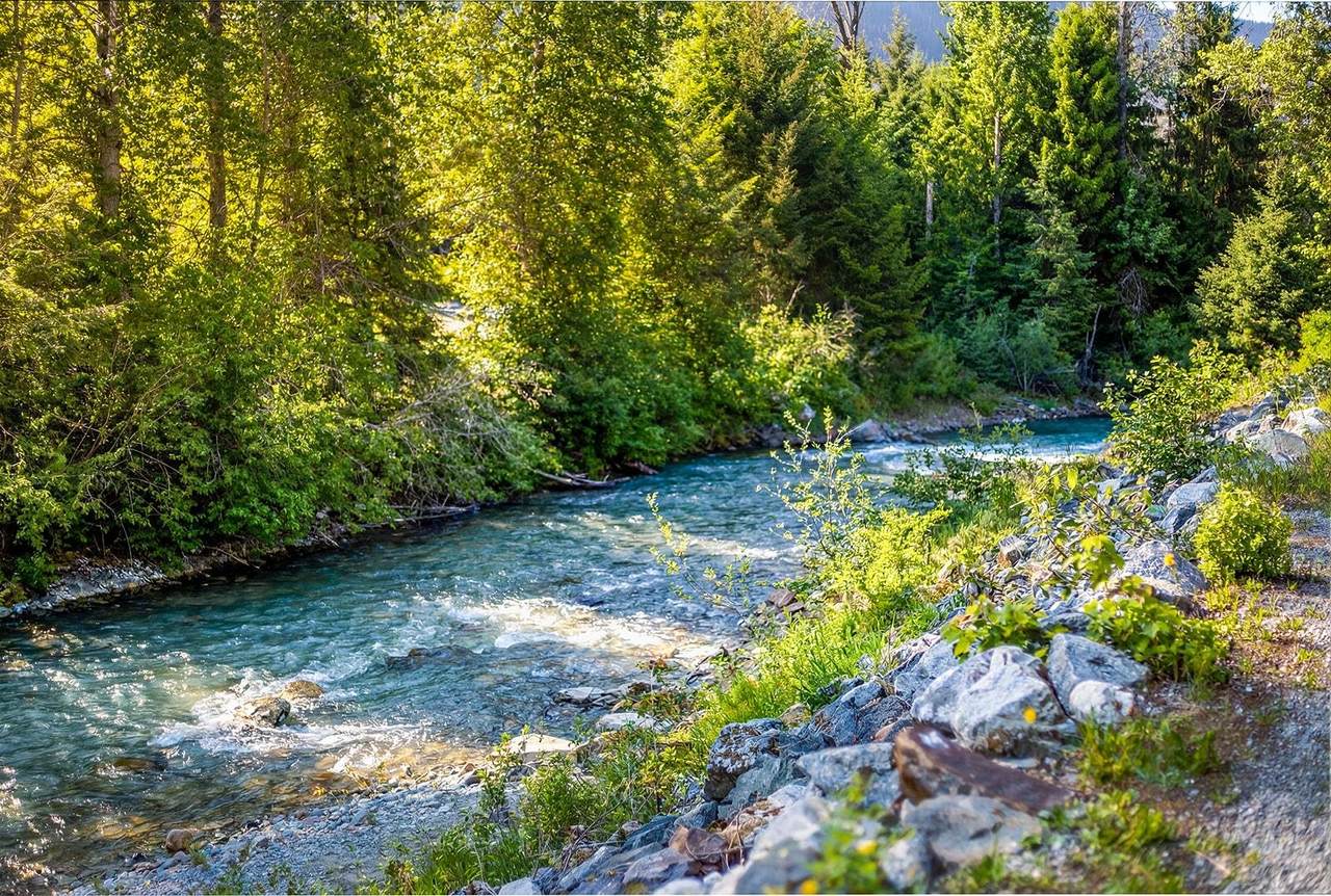 https://bt-photos.global.ssl.fastly.net/britcol/1280_boomver_2_R3130715-2.jpg