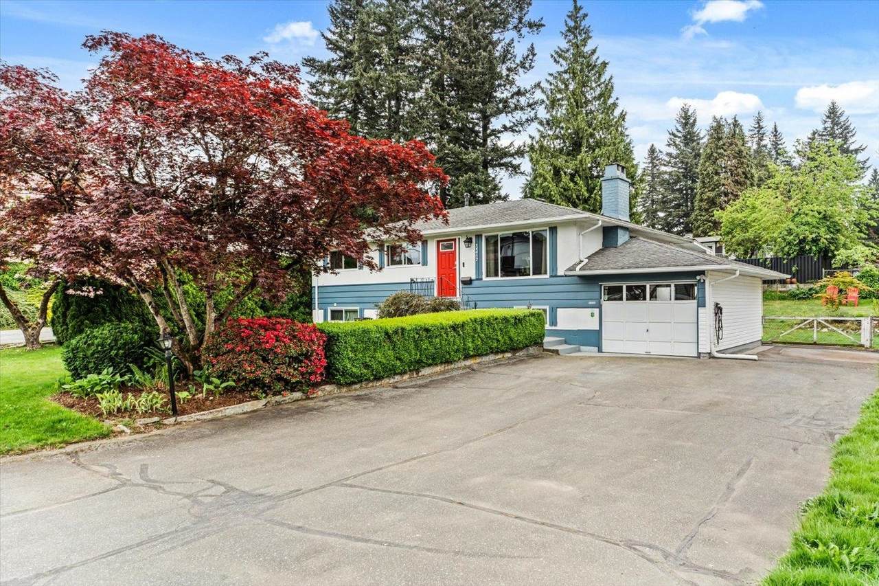34452 York Avenue - Photo 1