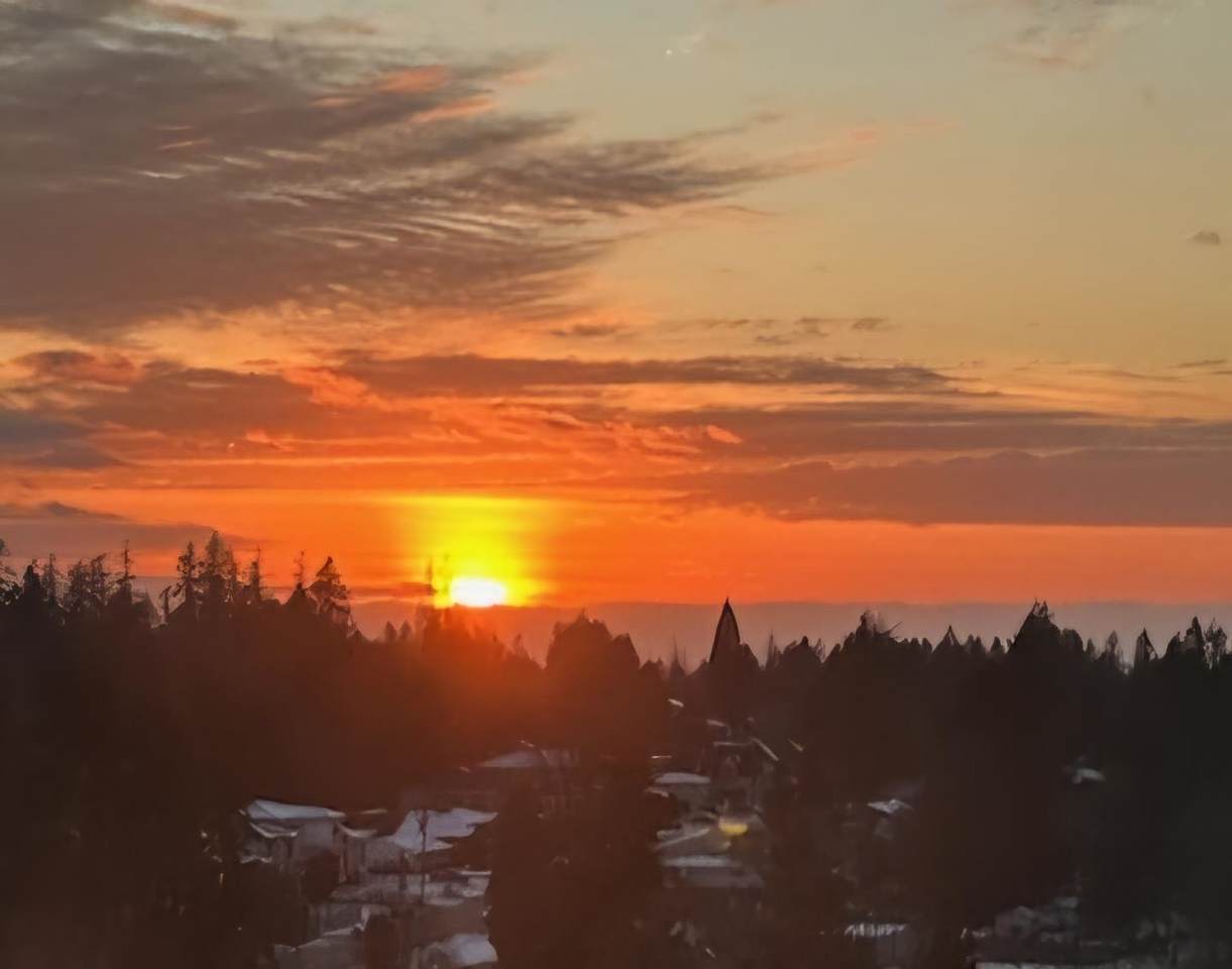 10777 University Drive - Photo 1