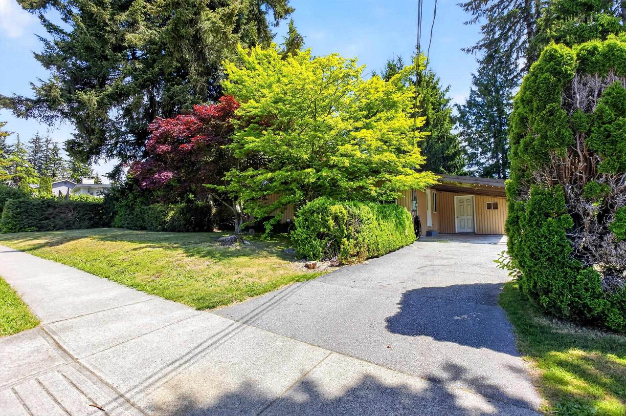 655 Macintosh Street - Photo 1