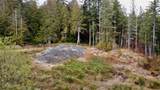 4591 Flagship Road - Photo 2