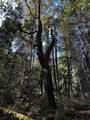 762 Ridge Road - Photo 24