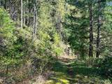 4055 Dark Cove Jervis Road - Photo 35