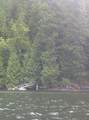3 Indian Arm - Photo 18