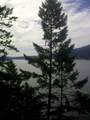 3 Indian Arm - Photo 19